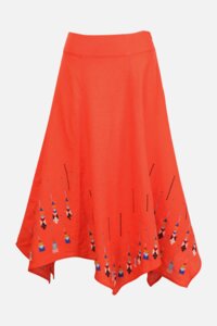 Skirt With Embroidery