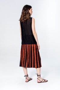 Skirt With Pleats