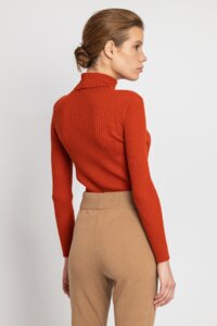 Solid  Roll-Neck Pullover