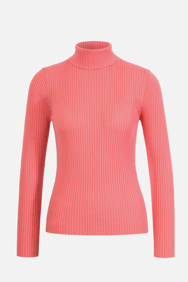 Ribbed Rollneck Pullover