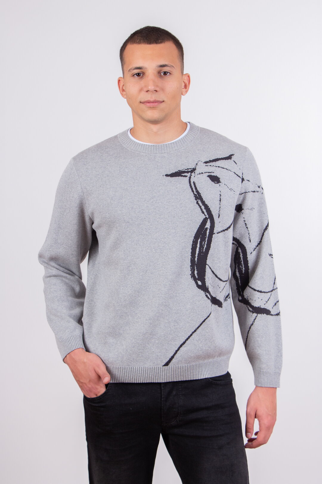 Herrenpullover Skybird