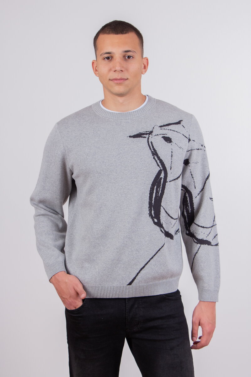 Herrenpullover Skybird
