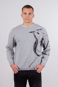 Herrenpullover Skybird