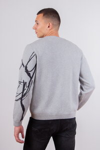 Herrenpullover Skybird
