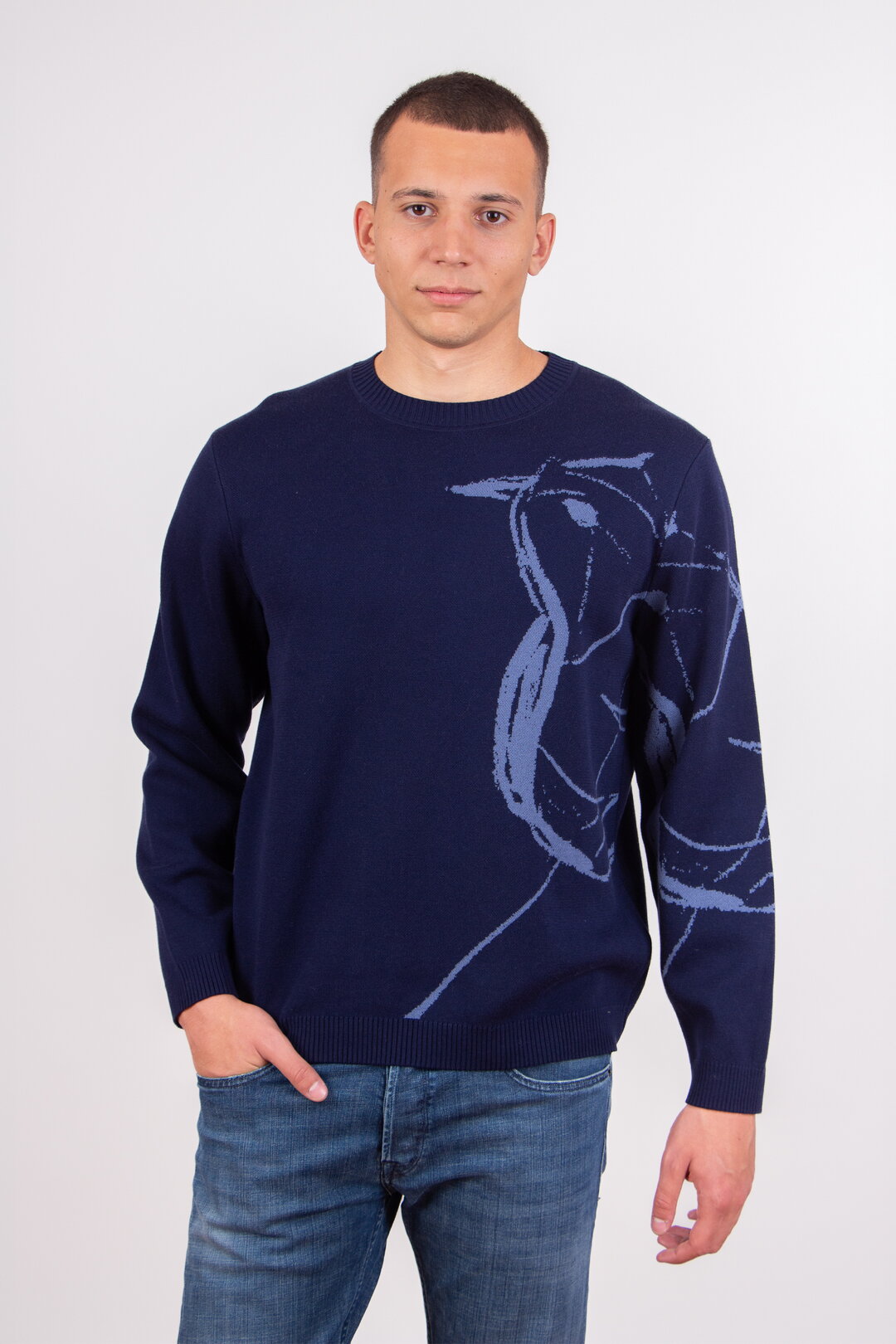 Herrenpullover Skybird