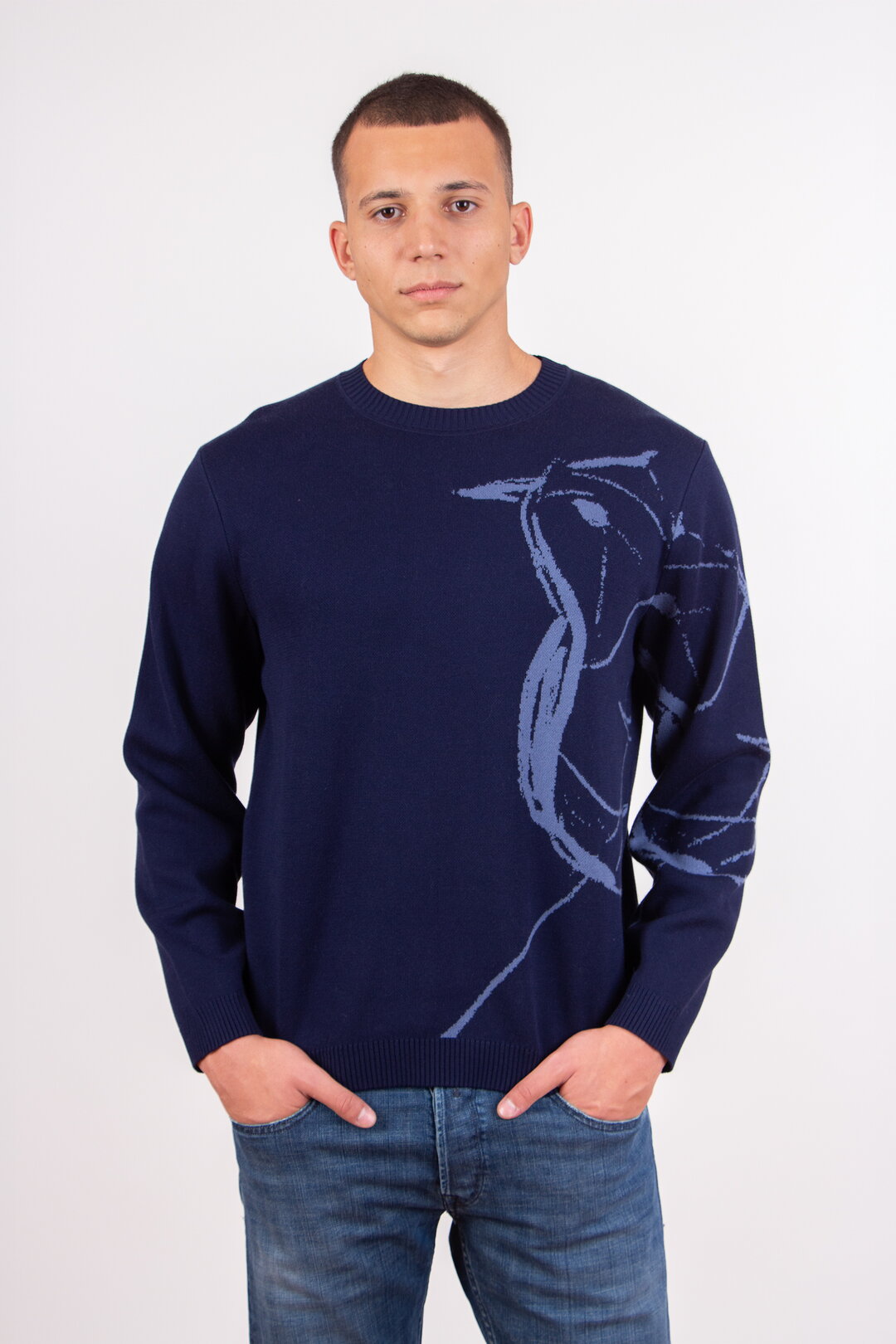 Herrenpullover Skybird