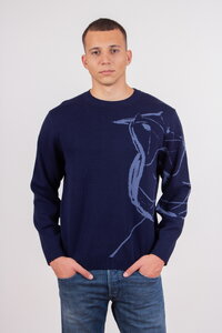 Herrenpullover Skybird