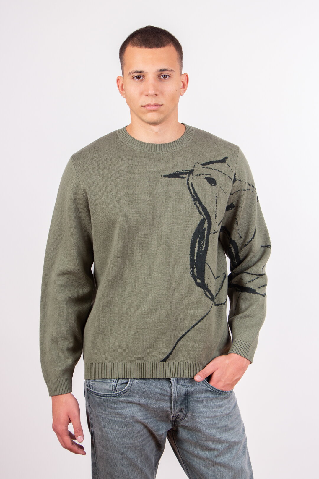 Herrenpullover Skybird