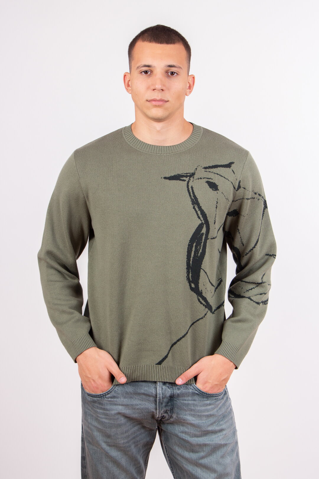 Herrenpullover Skybird
