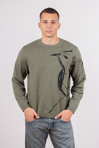 Herrenpullover Skybird