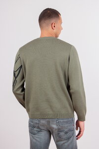 Herrenpullover Skybird