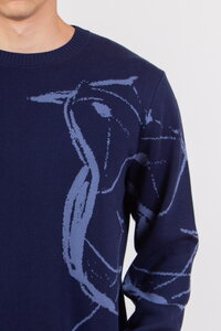 Herrenpullover Skybird