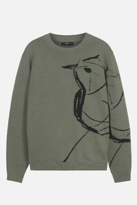 Herrenpullover Skybird
