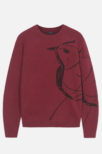 Herrenpullover Skybird