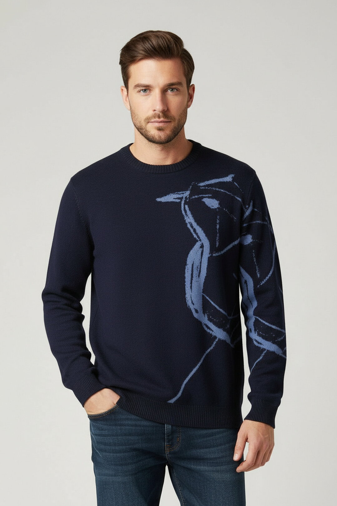 Muški džemper Skybird