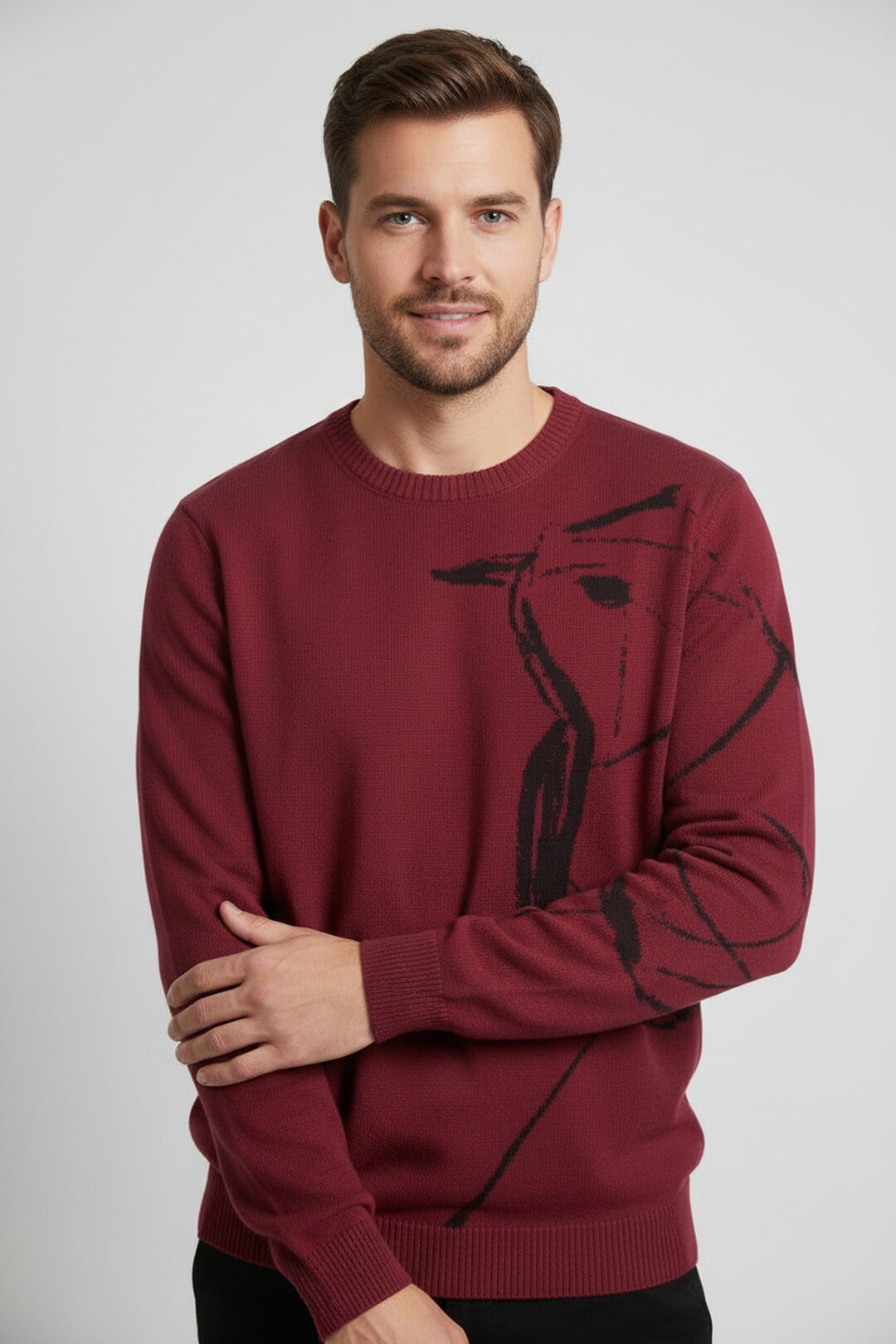 Muški džemper Skybird