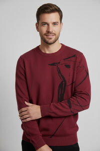 Muški džemper Skybird