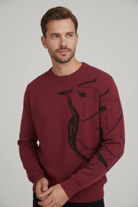 Muški džemper Skybird