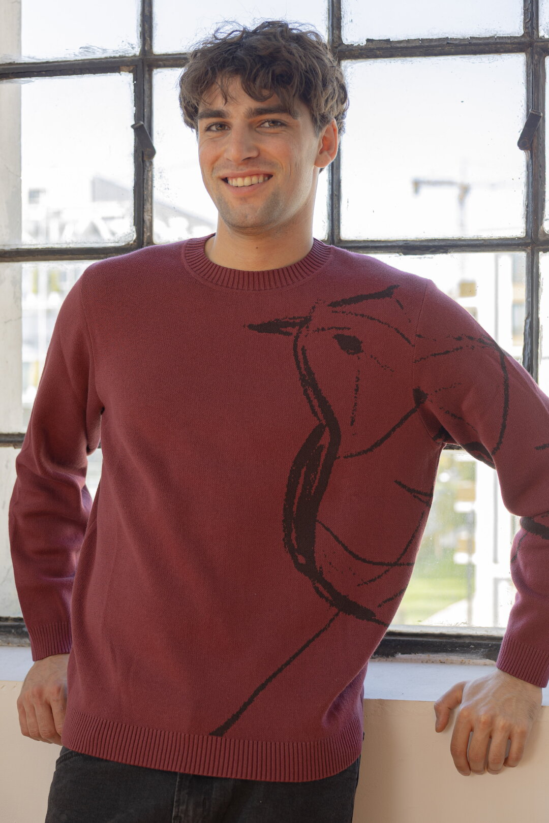 Herrenpullover Skybird