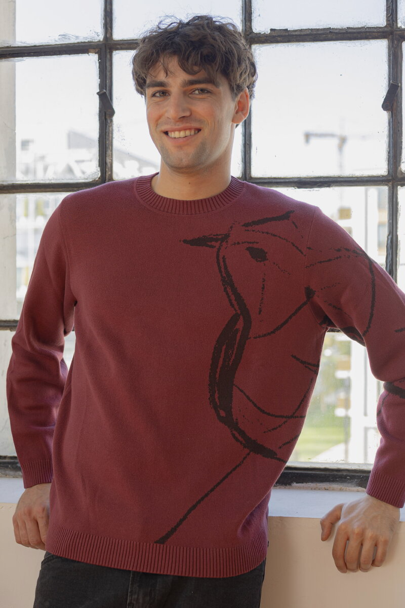 Herrenpullover Skybird