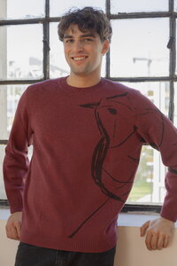 Herrenpullover Skybird